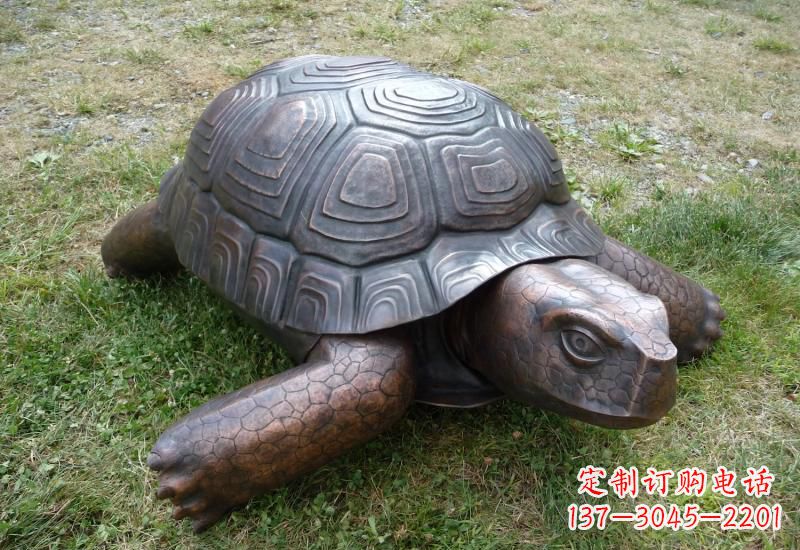 泰州乌龟铜雕222