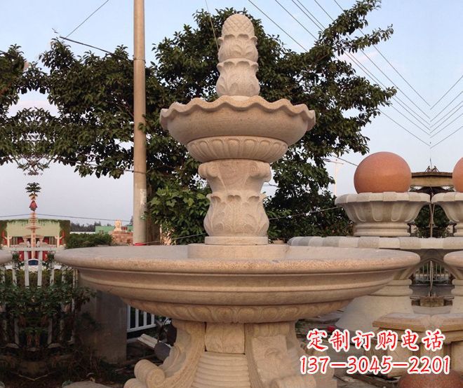 泰州小区景观大型喷泉石雕 (4)