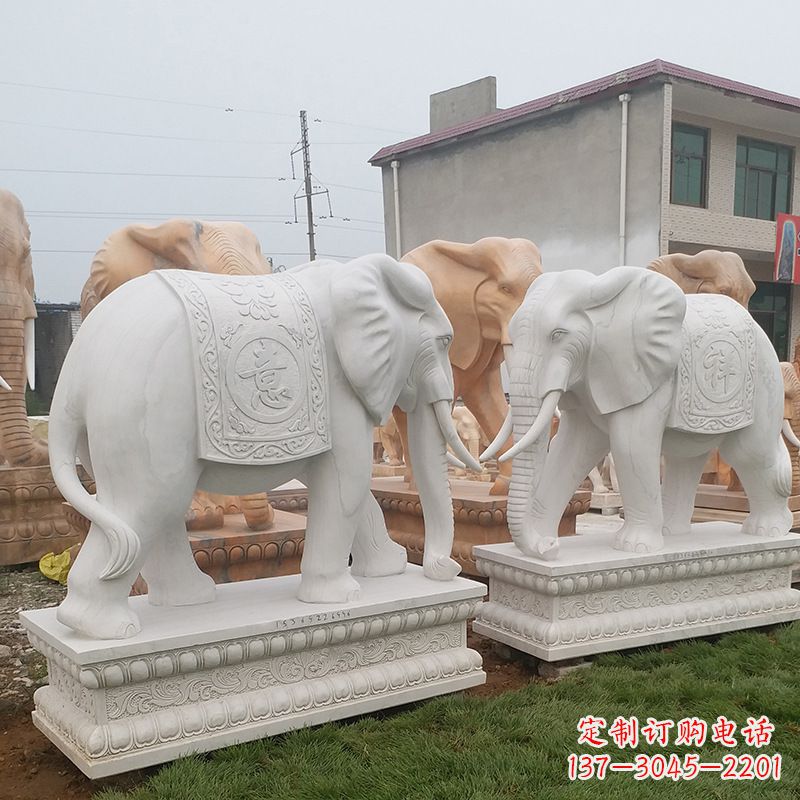 泰州学校石雕大象
