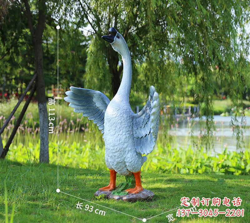 泰州站立的灰色展翅天鹅