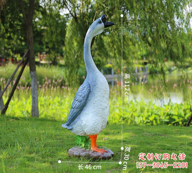 泰州站立立脖灰色天鹅
